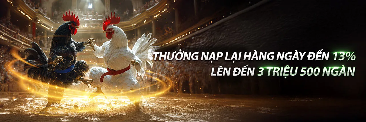 Đá gà trực tuyến nn88 đăng nhập